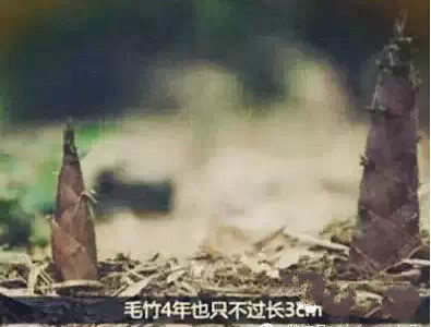 俄罗斯·专享会(中国集团)官方网站