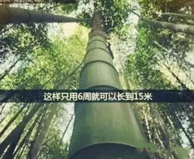 俄罗斯·专享会(中国集团)官方网站