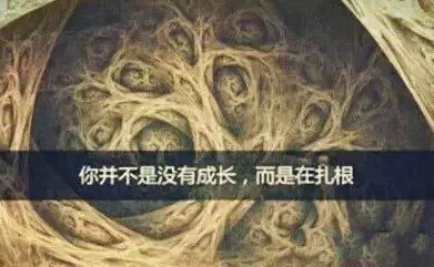 俄罗斯·专享会(中国集团)官方网站