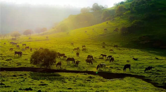 俄罗斯·专享会(中国集团)官方网站