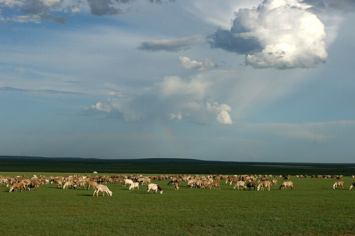 俄罗斯·专享会(中国集团)官方网站