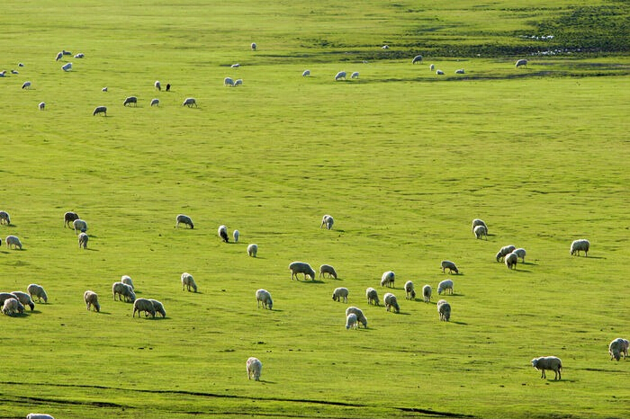 俄罗斯·专享会(中国集团)官方网站