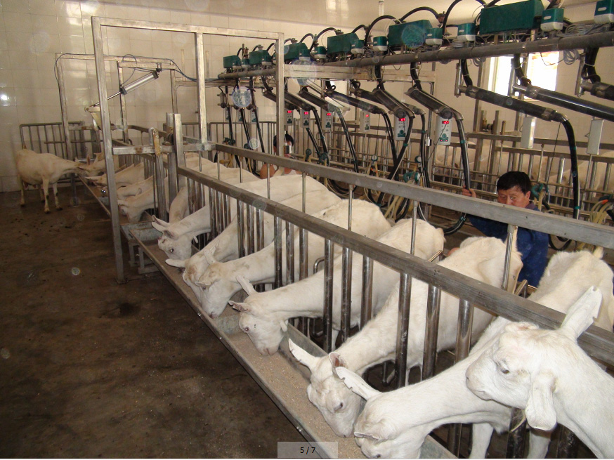 俄罗斯·专享会(中国集团)官方网站