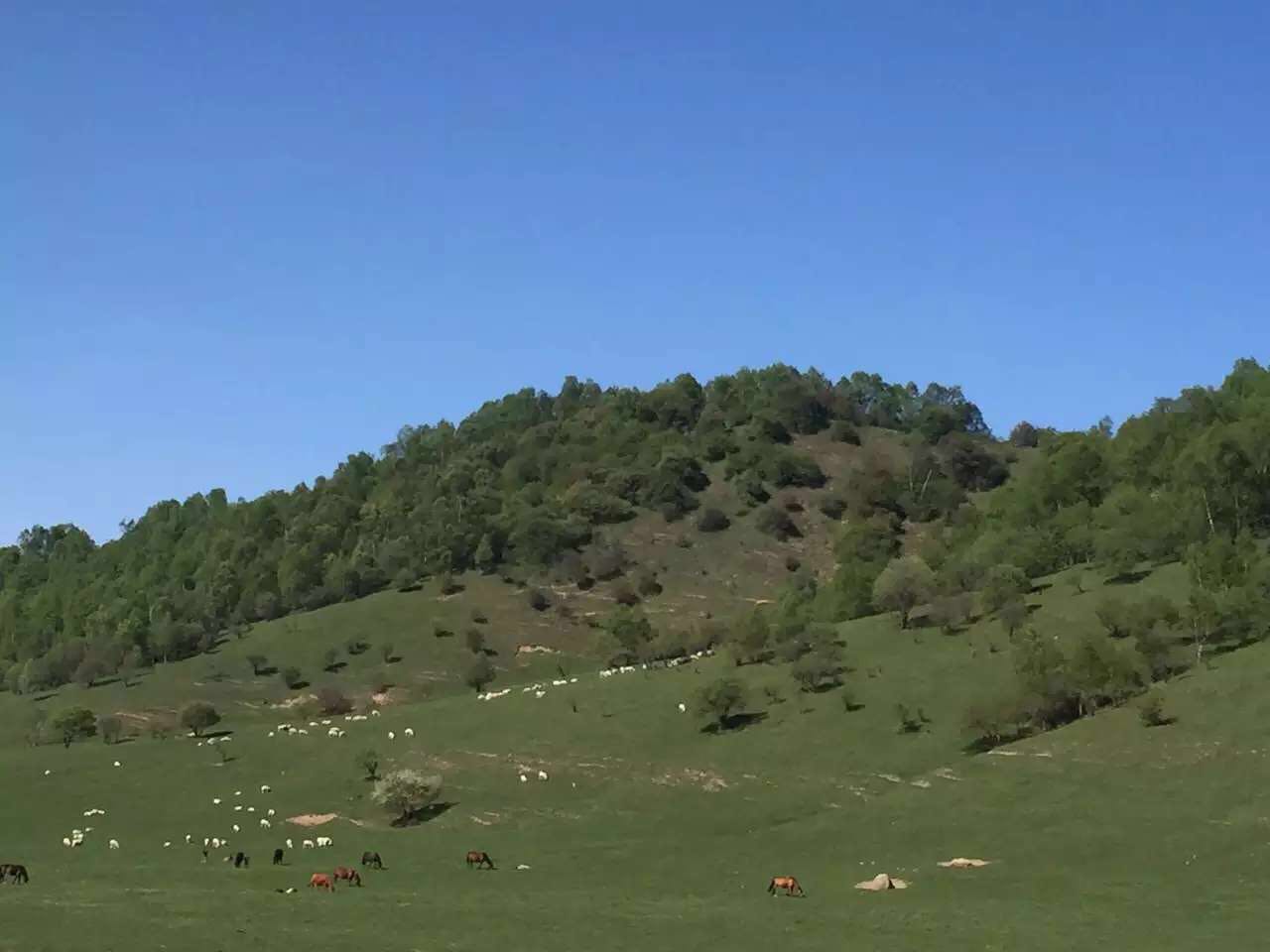 俄罗斯·专享会(中国集团)官方网站