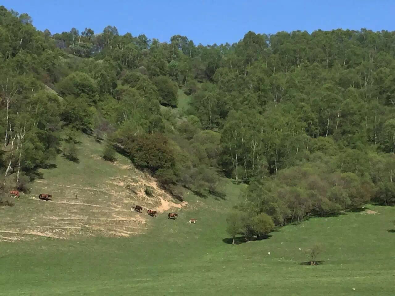 俄罗斯·专享会(中国集团)官方网站