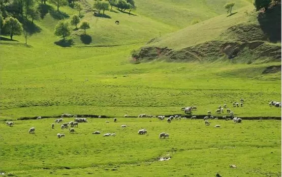 ����˹��ר����(�й�����)�ٷ���վ