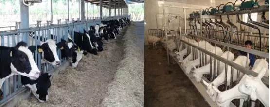 ����˹��ר����(�й�����)�ٷ���վ