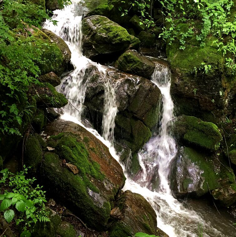 ����˹��ר����(�й�����)�ٷ���վ