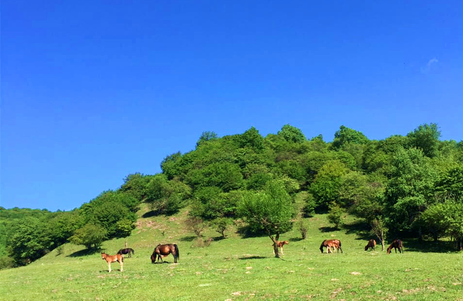 ����˹��ר����(�й�����)�ٷ���վ