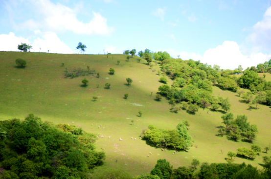 ����˹��ר����(�й�����)�ٷ���վ