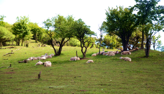 ����˹��ר����(�й�����)�ٷ���վ