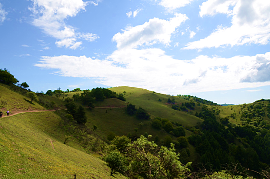 ����˹��ר����(�й�����)�ٷ���վ