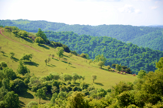 ����˹��ר����(�й�����)�ٷ���վ