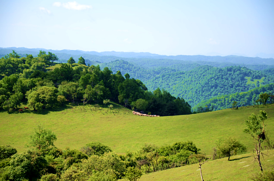 ����˹��ר����(�й�����)�ٷ���վ