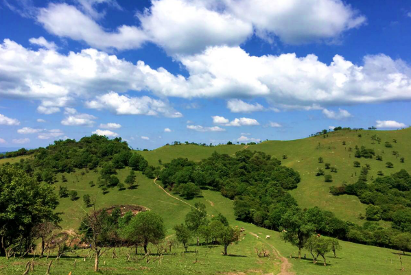 ����˹��ר����(�й�����)�ٷ���վ