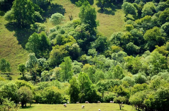 ����˹��ר����(�й�����)�ٷ���վ