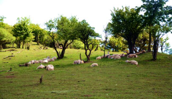 ����˹��ר����(�й�����)�ٷ���վ