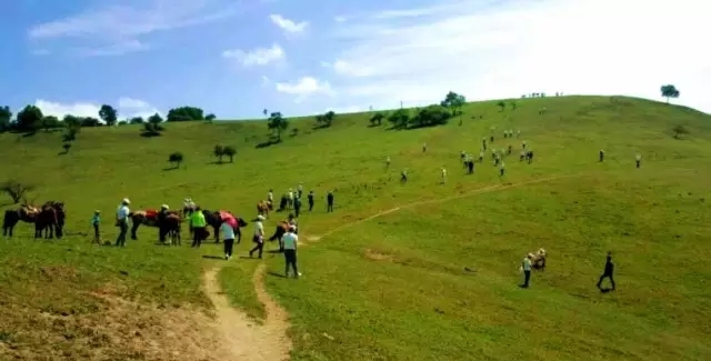 ����˹��ר����(�й�����)�ٷ���վ