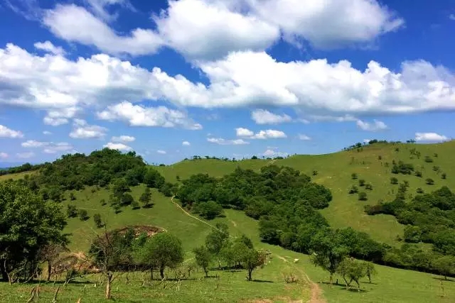 ����˹��ר����(�й�����)�ٷ���վ