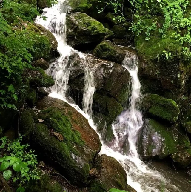 ����˹��ר����(�й�����)�ٷ���վ