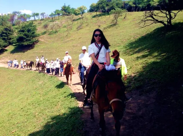 ����˹��ר����(�й�����)�ٷ���վ