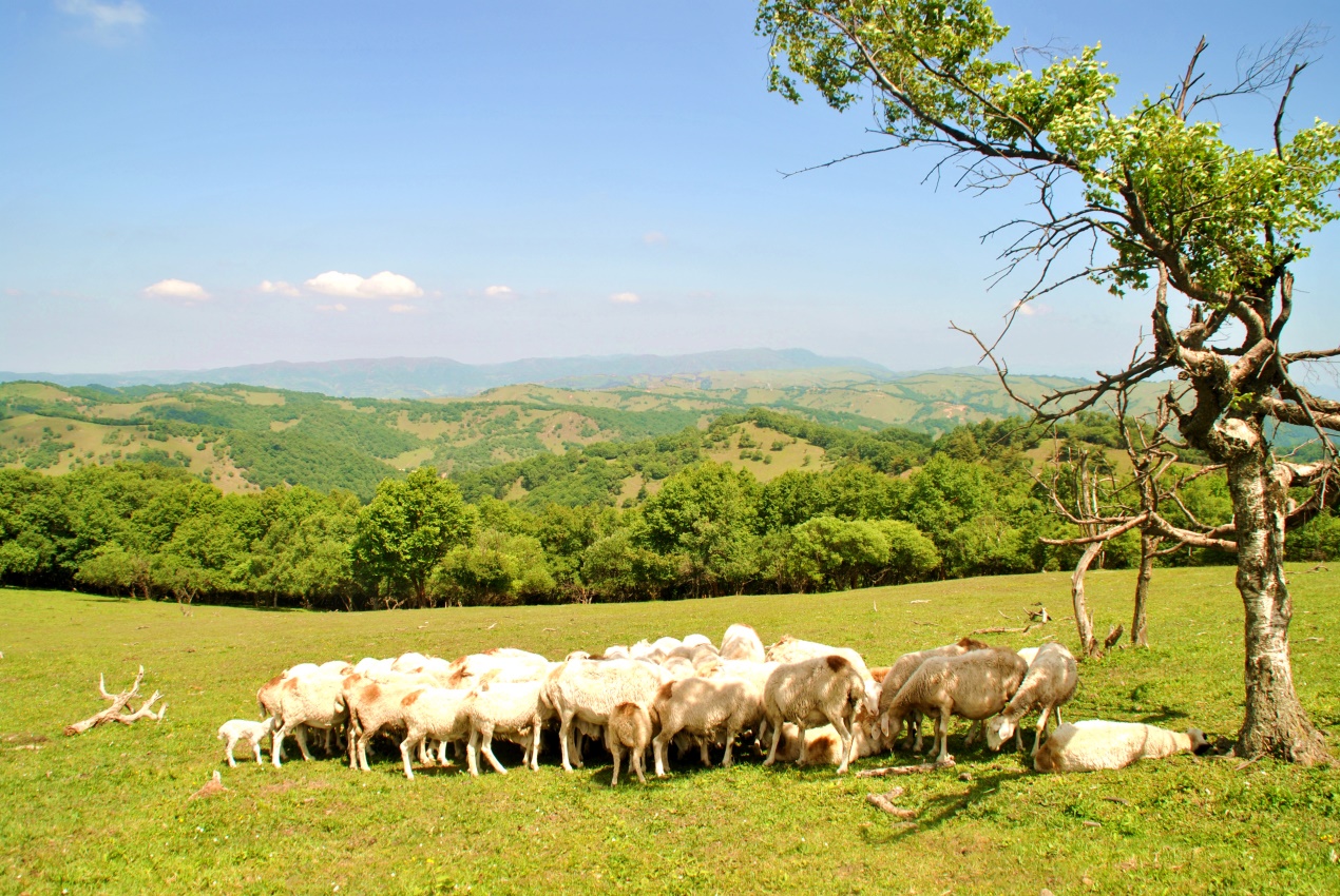 ����˹��ר����(�й�����)�ٷ���վ