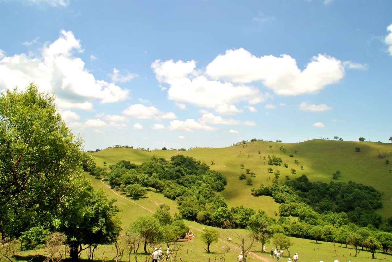 ����˹��ר����(�й�����)�ٷ���վ