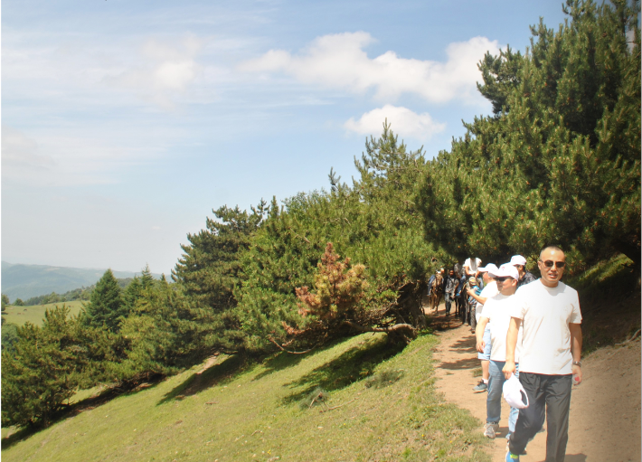 ����˹��ר����(�й�����)�ٷ���վ