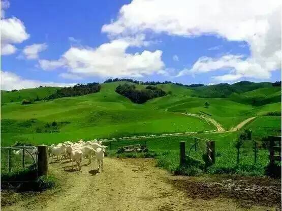 ����˹��ר����(�й�����)�ٷ���վ